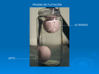 PRUEBA DE FLOTACIÓN ALTERADO APTO 