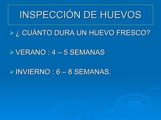 INSPECCIÓN DE HUEVOS ¿ CUÁNTO DURA UN HUEVO FRESCO? VERANO : 4 – 5 SEMANAS INVIERNO : 6 – 8 SEMANAS. 