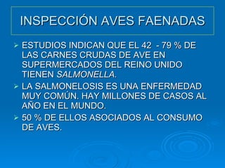 INSPECCIÓN AVES FAENADAS ESTUDIOS INDICAN QUE EL 42  - 79 % DE LAS CARNES CRUDAS DE AVE EN SUPERMERCADOS DEL REINO UNIDO TIENEN  SALMONELLA. LA SALMONELOSIS ES UNA ENFERMEDAD MUY COMÚN. HAY MILLONES DE CASOS AL AÑO EN EL MUNDO. 50 % DE ELLOS ASOCIADOS AL CONSUMO DE AVES. 
