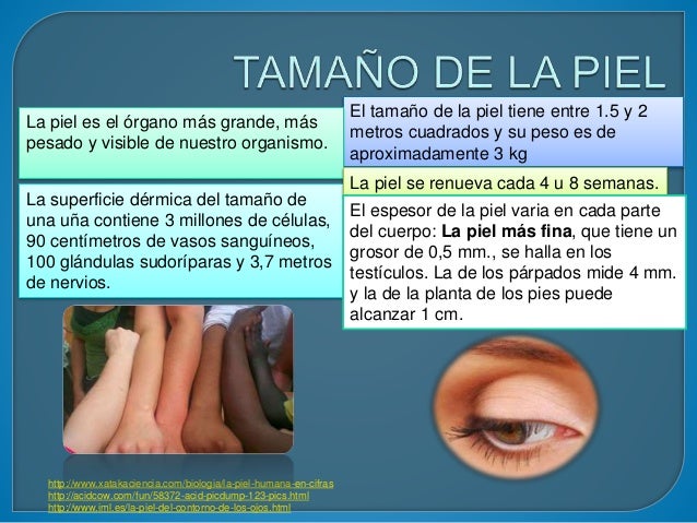 Inspección y palpación de la piel