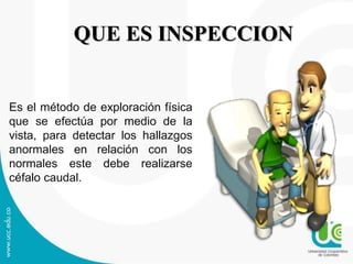 QUE ES INSPECCION
Es el método de exploración física
que se efectúa por medio de la
vista, para detectar los hallazgos
anormales en relación con los
normales este debe realizarse
céfalo caudal.