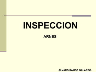 INSPECCION
   ARNES




           ALVARO RAMOS GALARDO.
 