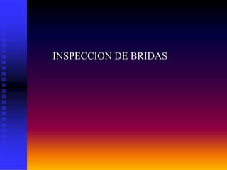 INSPECCION DE BRIDAS
 