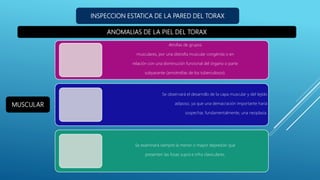 ANOMALIAS DE LA PIEL DEL TORAX
INSPECCION ESTATICA DE LA PARED DEL TORAX
Atrofias de grupos
musculares, por una distrofia muscular congénita o en
relación con una disminución funcional del órgano o parte
subyacente (amiotrofias de los tuberculosos).
Se observará el desarrollo de la capa muscular y del tejido
adiposo, ya que una demacración importante haría
sospechar, fundamentalmente, una neoplasia.
Se examinará siempre la menor o mayor depresión que
presenten las fosas supra e infra claviculares.
MUSCULAR
 