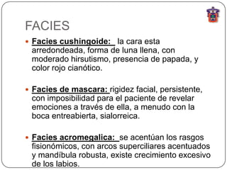 FACIES
 Facies cushingoide: la cara esta
 arredondeada, forma de luna llena, con
 moderado hirsutismo, presencia de papada, y
 color rojo cianótico.

 Facies de mascara: rigidez facial, persistente,
 con imposibilidad para el paciente de revelar
 emociones a través de ella, a menudo con la
 boca entreabierta, sialorreica.

 Facies acromegalica: se acentúan los rasgos
 fisionómicos, con arcos superciliares acentuados
 y mandíbula robusta, existe crecimiento excesivo
 de los labios.
 