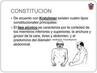 CONSTITUCION
 De acuerdo con Kretchmer existen cuatro tipos
  constitucionales principales:
 El tipo pícnico se caracteriza por la cortedad de
  los miembros inferiores y superiores, la anchura y
  grosor de la cara, tórax y abdomen, y el
  predominio del diámetro antero posterior
  abdominal.
 