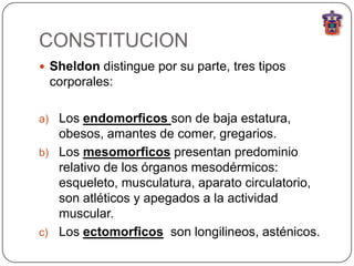 CONSTITUCION
 Sheldon distingue por su parte, tres tipos
 corporales:

a) Los endomorficos son de baja estatura,
   obesos, amantes de comer, gregarios.
b) Los mesomorficos presentan predominio
   relativo de los órganos mesodérmicos:
   esqueleto, musculatura, aparato circulatorio,
   son atléticos y apegados a la actividad
   muscular.
c) Los ectomorficos son longilineos, asténicos.
 