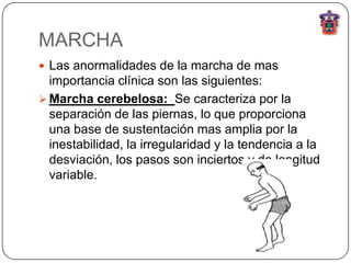 MARCHA
 Las anormalidades de la marcha de mas
  importancia clínica son las siguientes:
 Marcha cerebelosa: Se caracteriza por la
  separación de las piernas, lo que proporciona
  una base de sustentación mas amplia por la
  inestabilidad, la irregularidad y la tendencia a la
  desviación, los pasos son inciertos y de longitud
  variable.
 
