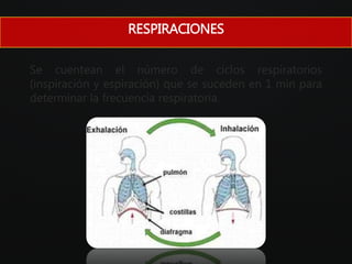 Se cuentean el número de ciclos respiratorios
(inspiración y espiración) que se suceden en 1 min para
determinar la frecuencia respiratoria.
RESPIRACIONES
 