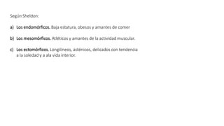 Según Sheldon: 
a) Los endomórficos. Baja estatura, obesos y amantes de comer 
b) Los mesomórficos. Atléticos y amantes de la actividad muscular. 
c) Los ectomórficos. Longilíneos, asténicos, delicados con tendencia 
a la soledad y a ala vida interior. 
 