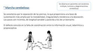 ° Marcha cerebelosa: 
Se observa en pacientes con esclerosis 
múltiple, tumores y degeneraciones 
cerebelosas 
Se caracteriza por la separación de las piernas, lo que proporciona una base de 
sustentación más amplia por la inestabilidad, irregularidad y tendencia a la desviación. 
Los pasos son inciertos, de longitud variable y parecida a los de un borracho. 
El defecto consiste en la falta de coordinación entre la información visual, laberíntica y 
propioceptiva. 
 