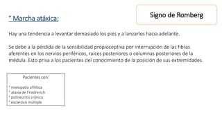 ° Marcha atáxica: 
Signo de Romberg 
Hay una tendencia a levantar demasiado los pies y a lanzarlos hacia adelante. 
Se debe a la pérdida de la sensibilidad propioceptiva por interrupción de las fibras 
aferentes en los nervios periféricos, raíces posteriores o columnas posteriores de la 
médula. Esto priva a los pacientes del conocimiento de la posición de sus extremidades. 
Pacientes con: 
° mielopatía sifilítica 
° ataxia de Friedrerich 
° polineuritis crónica 
° esclerosis múltiple 
 