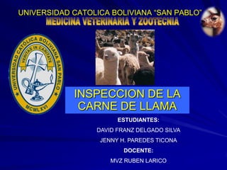 UNIVERSIDAD CATOLICA BOLIVIANA “SAN PABLO” INSPECCION DE LA CARNE DE LLAMA ESTUDIANTES:  DAVID FRANZ DELGADO SILVA JENNY H. PAREDES TICONA DOCENTE: MVZ RUBEN LARICO  