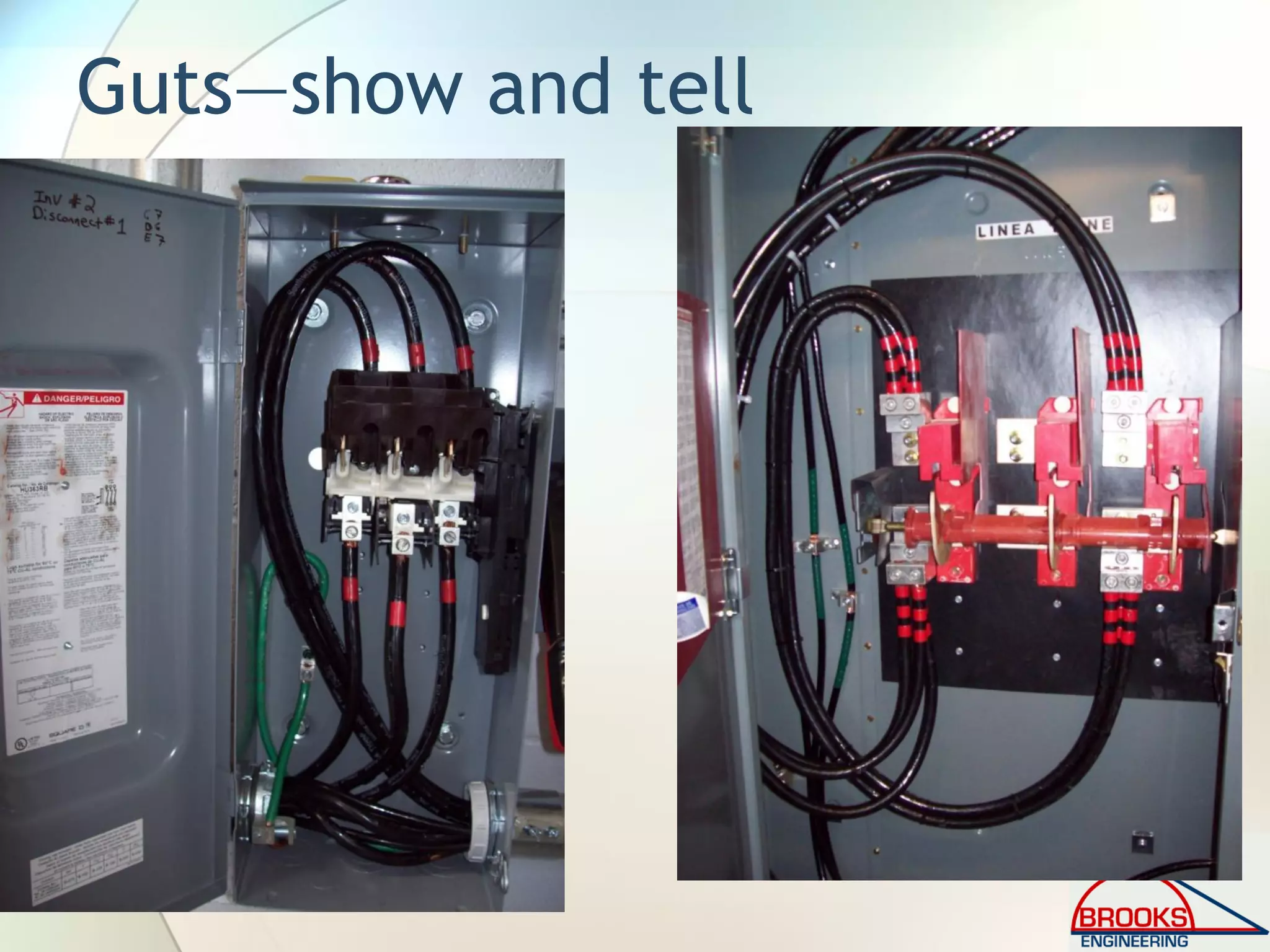 Guts—show and tell
 