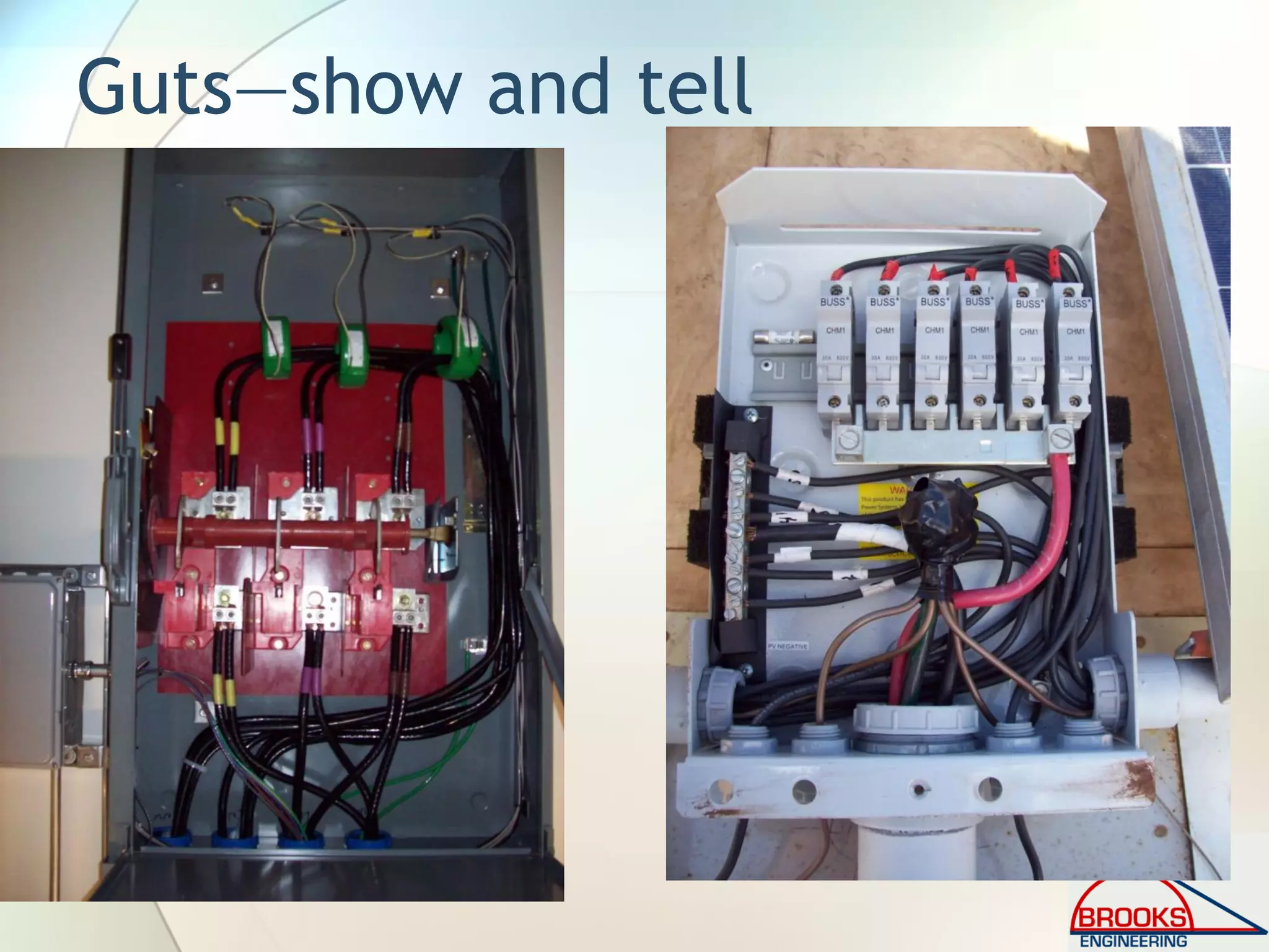 Guts—show and tell
 