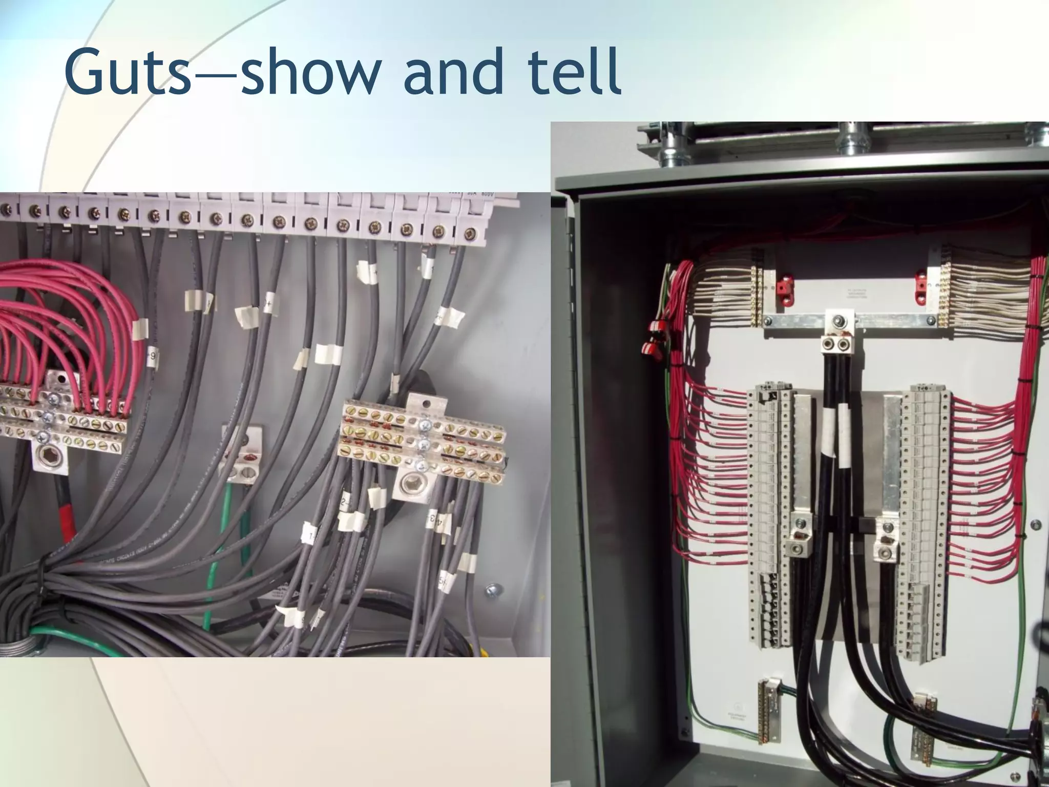 Guts—show and tell
 