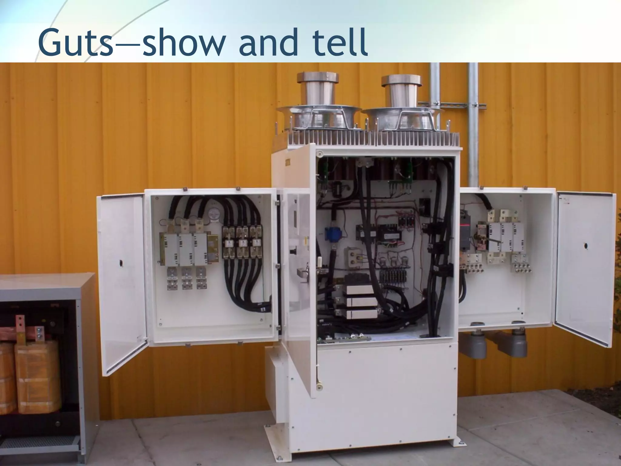 Guts—show and tell
 