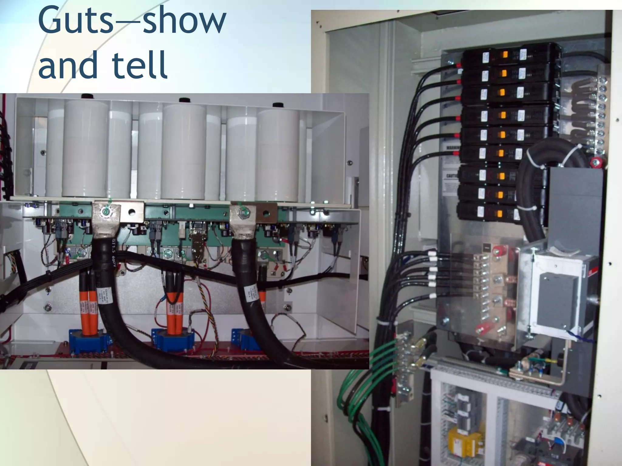 Guts—show
and tell
 