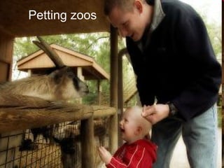 Petting zoos 