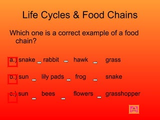 Life Cycles & Food Chains Which one is a correct example of a food chain? a.) snake   rabbit hawk grass b.) sun lily pads  frog snake c.) sun bees flowers grasshopper 