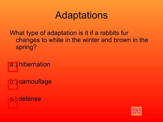 Adaptations What type of adaptation is it if a rabbits fur changes to white in the winter and brown in the spring? a.) hibernation b.) camouflage  c.) defense 