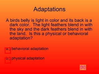 Adaptations A birds belly is light in color and its back is a dark color.  The light feathers blend in with the sky and the dark feathers blend in with the land.  Is this a physical or behavioral adaptation? a.) behavioral adaptation b.) physical adaptation  