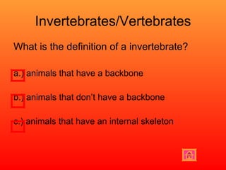 Invertebrates/Vertebrates What is the definition of a invertebrate? a.) animals that have a backbone  b.) animals that don’t have a backbone  c.) animals that have an internal skeleton 