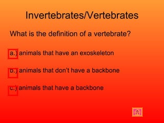 Invertebrates/Vertebrates What is the definition of a vertebrate? a.) animals that have an exoskeleton b.) animals that don’t have a backbone c.) animals that have a backbone  