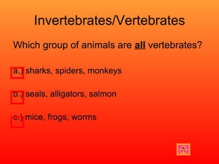 Invertebrates/Vertebrates Which group of animals are  all  vertebrates? a.) sharks, spiders, monkeys b.) seals, alligators, salmon  c.) mice, frogs, worms 