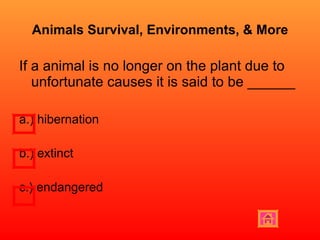Animals Survival, Environments, & More If a animal is no longer on the plant due to unfortunate causes it is said to be ______ a.) hibernation b.) extinct  c.) endangered 