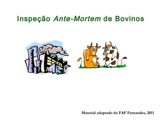Inspeção Ante-Mortem de Bovinos
Material adaptado do FAF Fernandes, 2011Material adaptado do FAF Fernandes, 2011
 