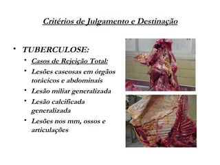 Critérios de Julgamento e Destinação
 TUBERCULOSE:
 Casos de Rejeição Total:
 Lesões caseosas em órgãos
torácicos e abdominais
 Lesão miliar generalizada
 Lesão calcificada
generalizada
 Lesões nos mm, ossos e
articulações
 