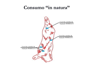 Consumo “in natura”
 