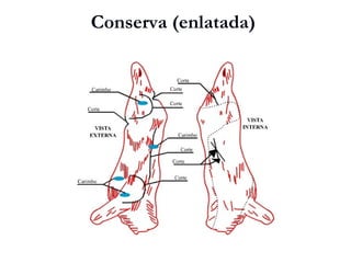 Conserva (enlatada)
 