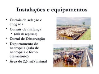  Currais de seleção e
chegada
 Currais de matança
 (24h de repouso)
 Curral de Observação
 Departamento de
necropsia (sala de
necropsia e forno
crematório)
 Área de 2,5 m2/animal
Instalações e equipamentos
 