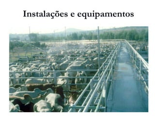 Instalações e equipamentos
 