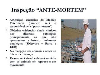 Inspeção “ANTE-MORTEM”
 Atribuição exclusiva do Médico
Veterinário (também será o
responsável pela “post-mortem”)
 Objetiva evidenciar sinais clínicos
das diversas patologias
principalmente as que não
apresentam substrato anátomo-
patológico (SNervoso – Raiva e
EEB)
 Na recepção dos animais e antes do
início da matança
 Exame será visual e deverá ser feito
com os animais em repouso e em
movimento
 