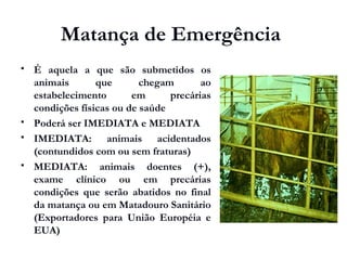 Matança de Emergência
 É aquela a que são submetidos os
animais que chegam ao
estabelecimento em precárias
condições físicas ou de saúde
 Poderá ser IMEDIATA e MEDIATA
 IMEDIATA: animais acidentados
(contundidos com ou sem fraturas)
 MEDIATA: animais doentes (+),
exame clínico ou em precárias
condições que serão abatidos no final
da matança ou em Matadouro Sanitário
(Exportadores para União Européia e
EUA)
 