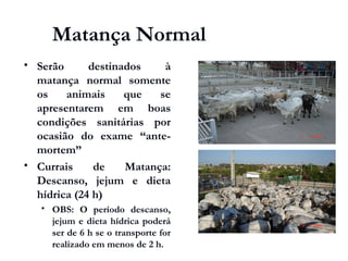 Matança Normal
 Serão destinados à
matança normal somente
os animais que se
apresentarem em boas
condições sanitárias por
ocasião do exame “ante-
mortem”
 Currais de Matança:
Descanso, jejum e dieta
hídrica (24 h)
 OBS: O período descanso,
jejum e dieta hídrica poderá
ser de 6 h se o transporte for
realizado em menos de 2 h.
 