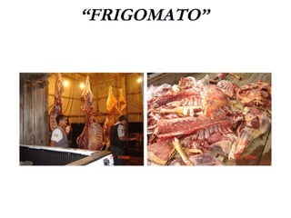 “FRIGOMATO”
 