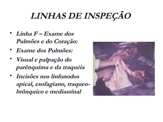 LINHAS DE INSPEÇÃO
 Linha F – Exame dos
Pulmões e do Coração:
 Exame dos Pulmões:
 Visual e palpação do
parênquima e da traquéia
 Incisões nos linfonodos
apical, esofagiano, traqueo-
brônquico e mediastinal
 