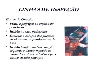 LINHAS DE INSPEÇÃO
Exame do Coração:
 Visual e palpação do orgão e do
pericárdio
 Incisão no saco pericárdico
 Destacar o coração dos pulmões
seccionando os grandes vasos da
base
 Incisão longitudinal do coração
esquerdo e direito expondo as
cavidades atrio-ventriculares para
exame visual e palpação
 