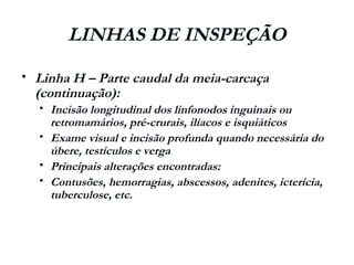 LINHAS DE INSPEÇÃO
 Linha H – Parte caudal da meia-carcaça
(continuação):
 Incisão longitudinal dos linfonodos inguinais ou
retromamários, pré-crurais, ilíacos e isquiáticos
 Exame visual e incisão profunda quando necessária do
úbere, testículos e verga
 Principais alterações encontradas:
 Contusões, hemorragias, abscessos, adenites, icterícia,
tuberculose, etc.
 