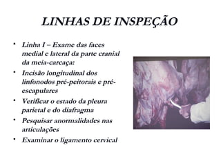 LINHAS DE INSPEÇÃO
 Linha I – Exame das faces
medial e lateral da parte cranial
da meia-carcaça:
 Incisão longitudinal dos
linfonodos pré-peitorais e pré-
escapulares
 Verificar o estado da pleura
parietal e do diafragma
 Pesquisar anormalidades nas
articulações
 Examinar o ligamento cervical
 