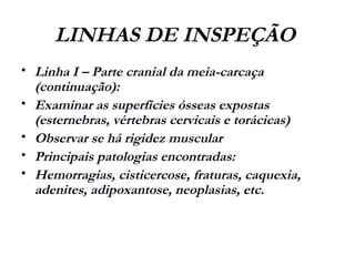 LINHAS DE INSPEÇÃO
 Linha I – Parte cranial da meia-carcaça
(continuação):
 Examinar as superfícies ósseas expostas
(esternebras, vértebras cervicais e torácicas)
 Observar se há rigidez muscular
 Principais patologias encontradas:
 Hemorragias, cisticercose, fraturas, caquexia,
adenites, adipoxantose, neoplasias, etc.
 