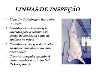 LINHAS DE INSPEÇÃO
 Linha J – Carimbagem das meias-
carcaças:
 Carimbar as meias-carcaças
liberadas para o consumo no
coxão, no lombo, na ponta de
agulha e na paleta
 Carimbar as carcaças destinadas
ao aproveitamento condicional
(identificar)
 Carcaças marcadas na linha A
devem receber o carimbo NE
(Não exportar)
 
