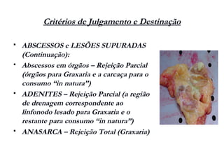 Critérios de Julgamento e Destinação
 ABSCESSOS e LESÕES SUPURADAS
(Continuação):
 Abscessos em órgãos – Rejeição Parcial
(órgãos para Graxaria e a carcaça para o
consumo “in natura”)
 ADENITES – Rejeição Parcial (a região
de drenagem correspondente ao
linfonodo lesado para Graxaria e o
restante para consumo “in natura”)
 ANASARCA – Rejeição Total (Graxaria)
 