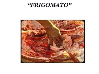 “FRIGOMATO”
 