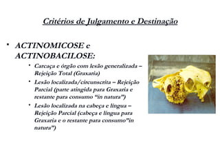 Critérios de Julgamento e Destinação
 ACTINOMICOSE e
ACTINOBACILOSE:
 Carcaça e órgão com lesão generalizada –
Rejeição Total (Graxaria)
 Lesão localizada/circunscrita – Rejeição
Parcial (parte atingida para Graxaria e
restante para consumo “in natura”)
 Lesão localizada na cabeça e língua –
Rejeição Parcial (cabeça e língua para
Graxaria e o restante para consumo”in
natura”)
 