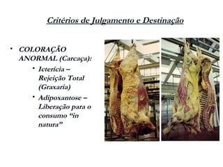 Critérios de Julgamento e Destinação
 COLORAÇÃO
ANORMAL (Carcaça):
 Icterícia –
Rejeição Total
(Graxaria)
 Adipoxantose –
Liberação para o
consumo “in
natura”
 